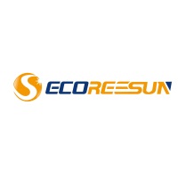 Jiangsu Reesun Solar Technology Co., Ltd. at Solar & Storage Live Africa 2025