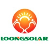 Loongsolar Group at Solar & Storage Live Africa 2025