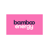 Bamboo Energy at Solar & Storage Live Paris 2025