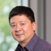 Ning Wang, Professor, University of Bristol