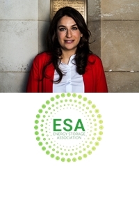Baroness Luciana Berger