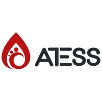 Shenzhen Atess Power Technology Co., Ltd at Solar & Storage Live Cape Town 2025