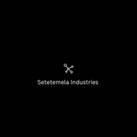 Setetemela Industries at Solar & Storage Live Cape Town 2025