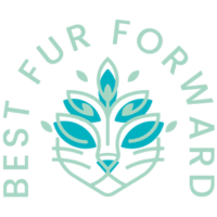 Best Fur Forward at The VET Expo 2025