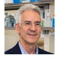 Luis Pereira de Almeida | Professor | University of Coimbra » speaking at Orphan Drug Congress