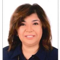 Gilan Elmaayergy | Commercial Deputy Director | Orascom Construction » speaking at Saudi Rail