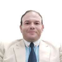 Kareem Helaly at Solar & Storage Live Egypt 2026