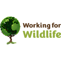 Working for Wildlife Ltd at Solar & Storage Live UK 2026
