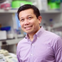 Vladimir Bermudez | Associate Director, Columbia Institute for Cell Engineering and Therapy | Columbia University Irving Medical Center » speaking at Advanced Therapies USA