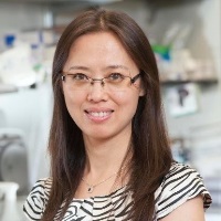 Xiuyan Wang
