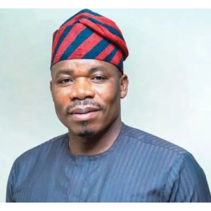 Joseph Osanipin, Director General, National Automotive Design and Development Council, NADDC