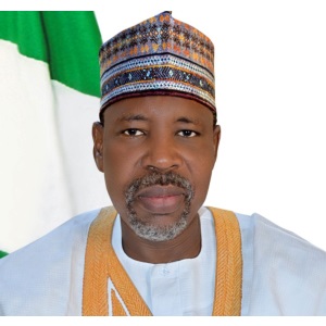 Aliyu Tahir, Managing Director, Nigerian Electricity Management Services Agency