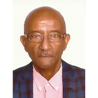 Seife Michael Berhe