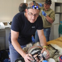Dr Anthony Caiafa | Founder and Director of Mobile Pet Dentistry, Adjunct Associate Professor | James Cook University » speaking at The VET Expo