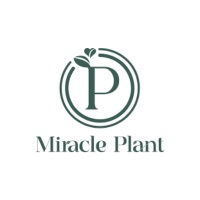 Miracle Plant at NoVacancy 2026