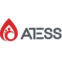 Shenzhen Atess Power Technology Co., Ltd at Solar & Storage Live Africa 2027